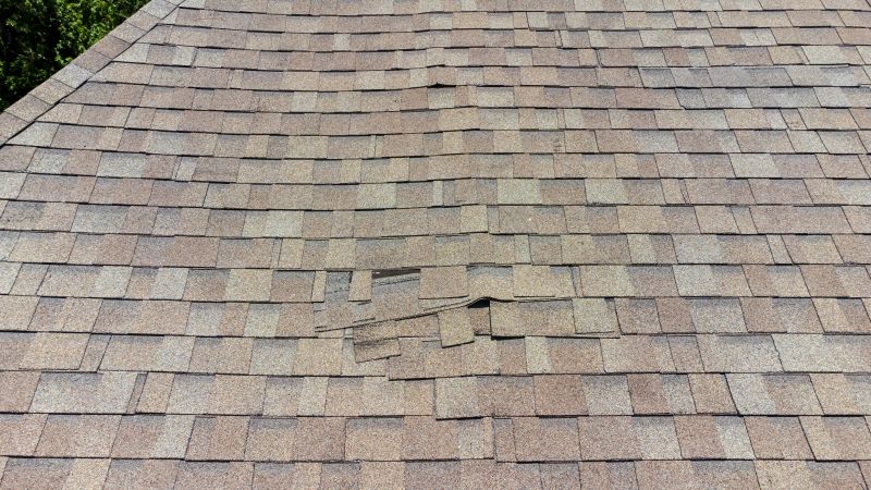 Asphalt Roof Inspection in Ringoes, NJ