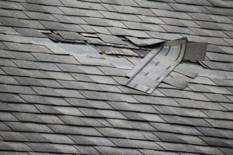 Asphalt Roof Leak Repair in Hackettstown, NJ