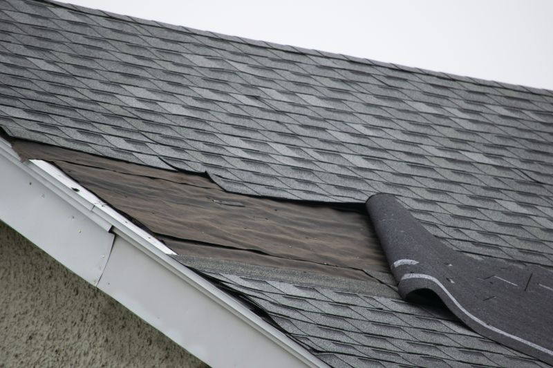 Asphalt Shingles Repair in Budd Lake, NJ