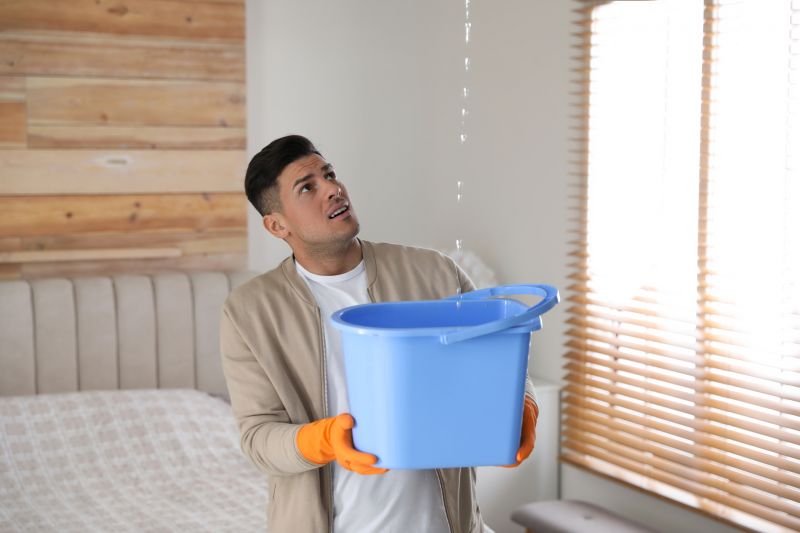 Bedroom Leak Repair in Long Valley, NJ