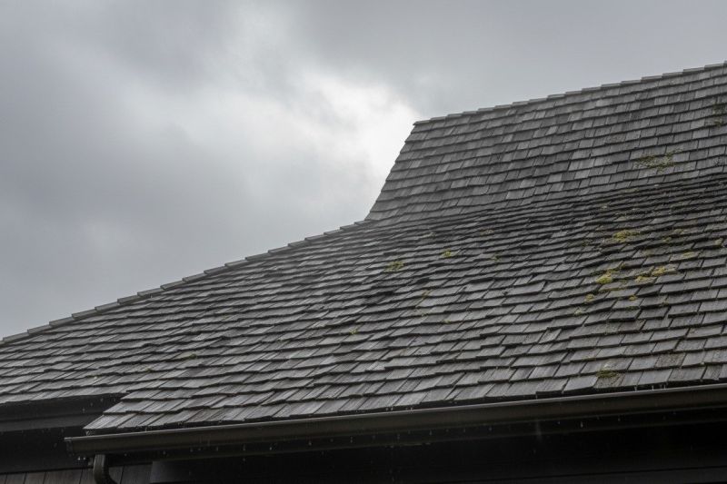 Cedar Roof Replacement in Florham Park, NJ