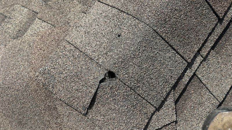 Damaged Roof Repair in Bridgewater, NJ