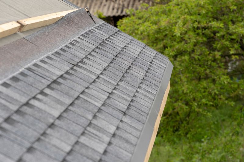 Damaged Roof Repair in Green Village, NJ