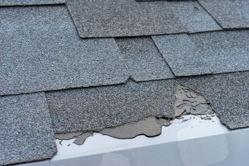 Damaged Roof Repair in Morris County, NJ