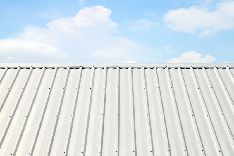 Metal Roof Coating Service in Long Valley, NJ