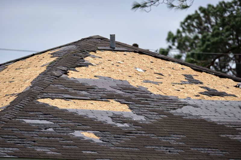 Roof Damage Repair in Bedminster, NJ
