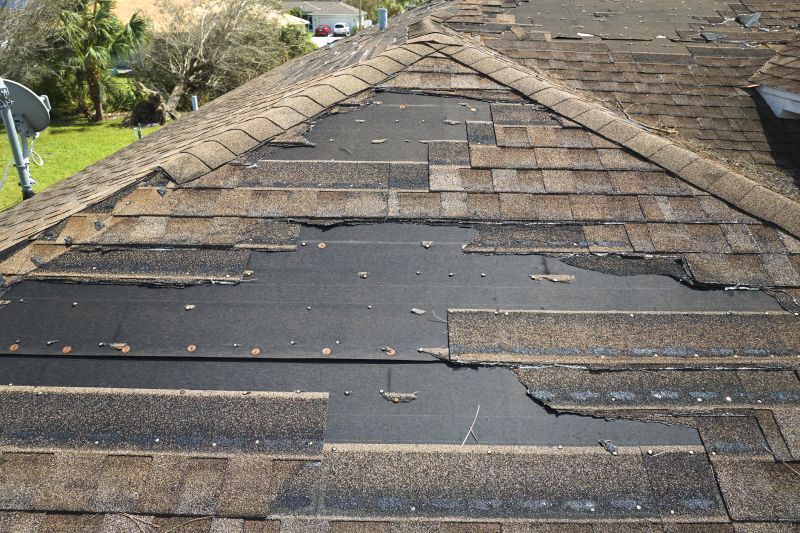 Roof Hail Damage Repair in Long Valley, NJ