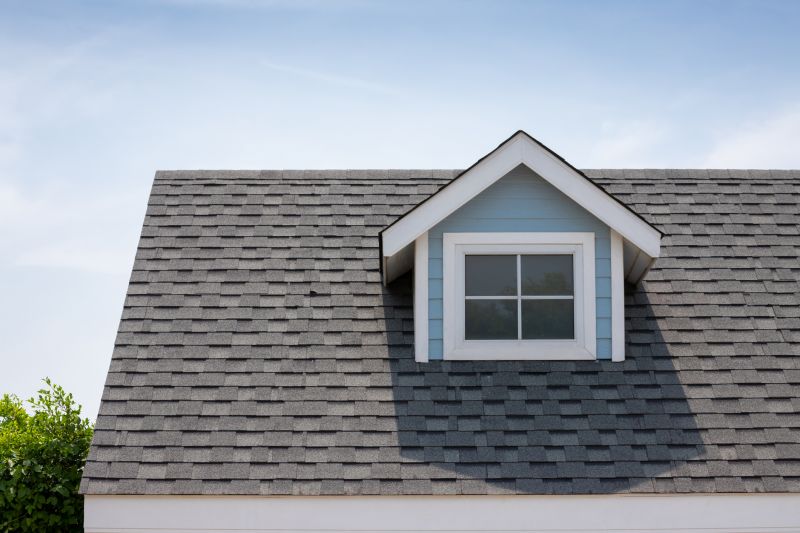 Roof Patching Service in Long Valley, NJ
