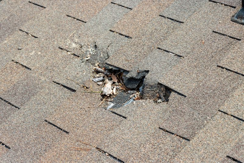 Roof Shingles Replacement in Morris County, NJ
