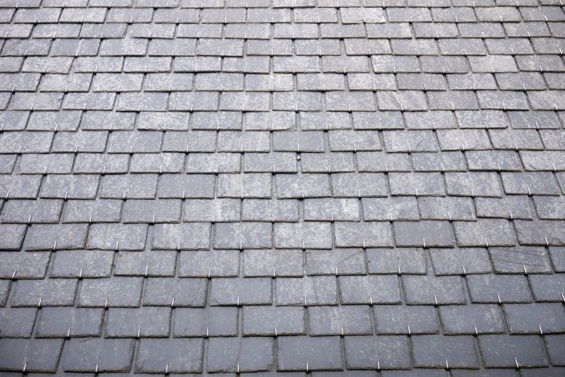 Slate Roof Inspection in Long Valley, NJ